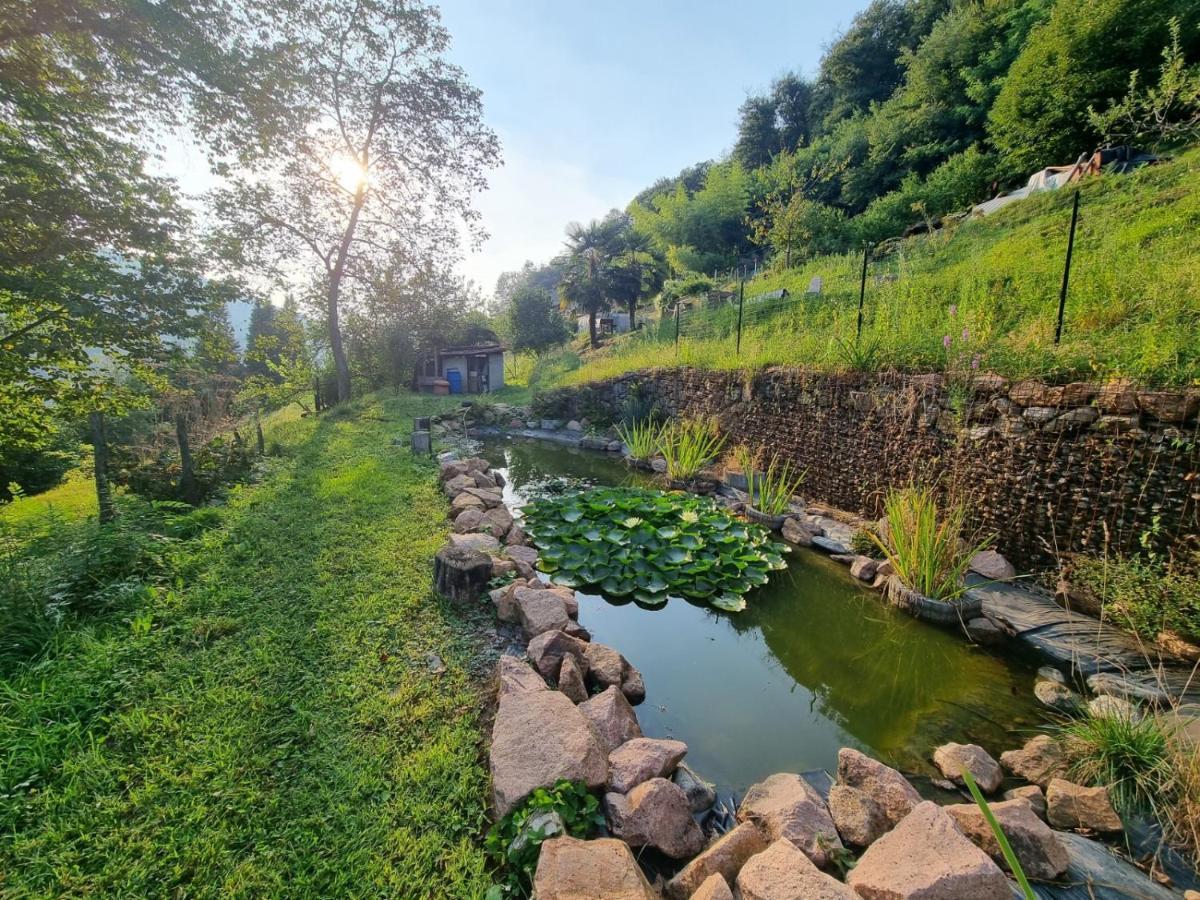 Monteggio La Nave B&B المظهر الخارجي الصورة