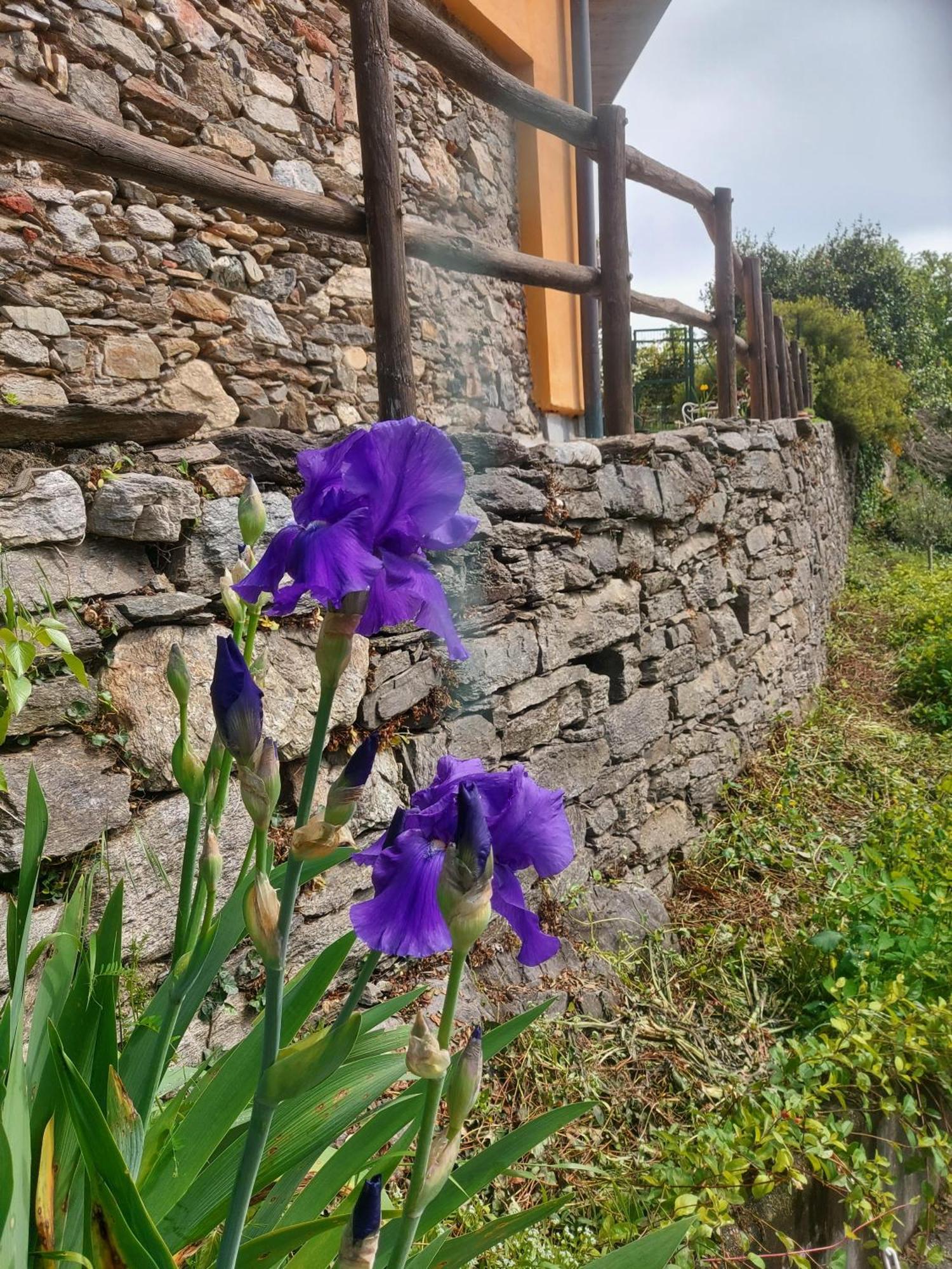 Monteggio La Nave B&B المظهر الخارجي الصورة
